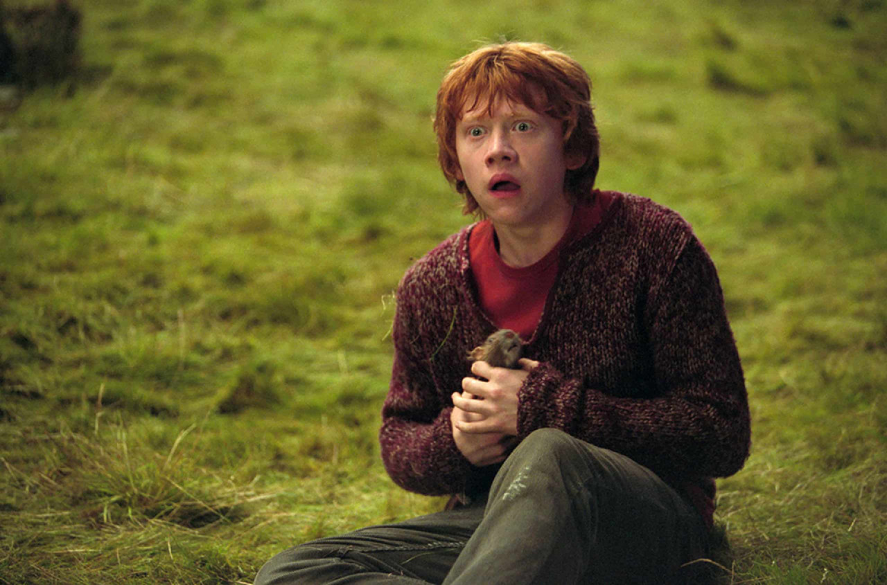 ron-weasley-questions